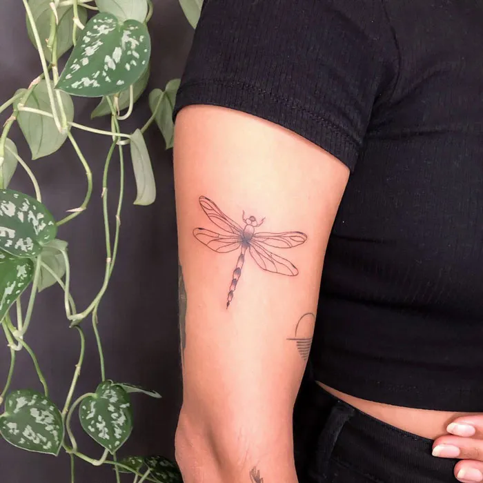 A simple and realistic dragonfly tattoo on a person's arm.