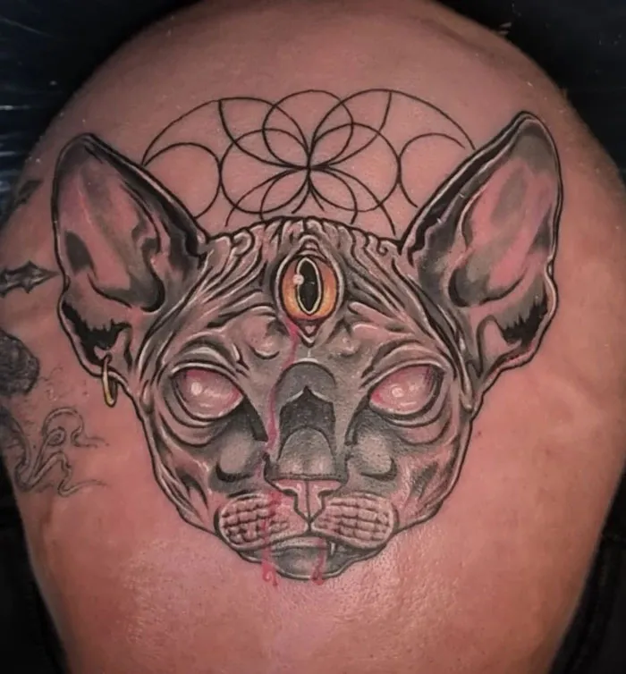 Animal tattoo with a realistic, mystical cat design featuring intricate patterns and a central third eye.