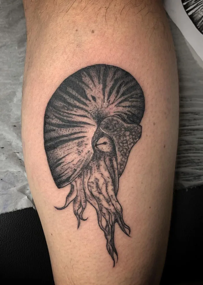 Nautilus animal tattoo on a person's leg, showcasing intricate black ink detailing.