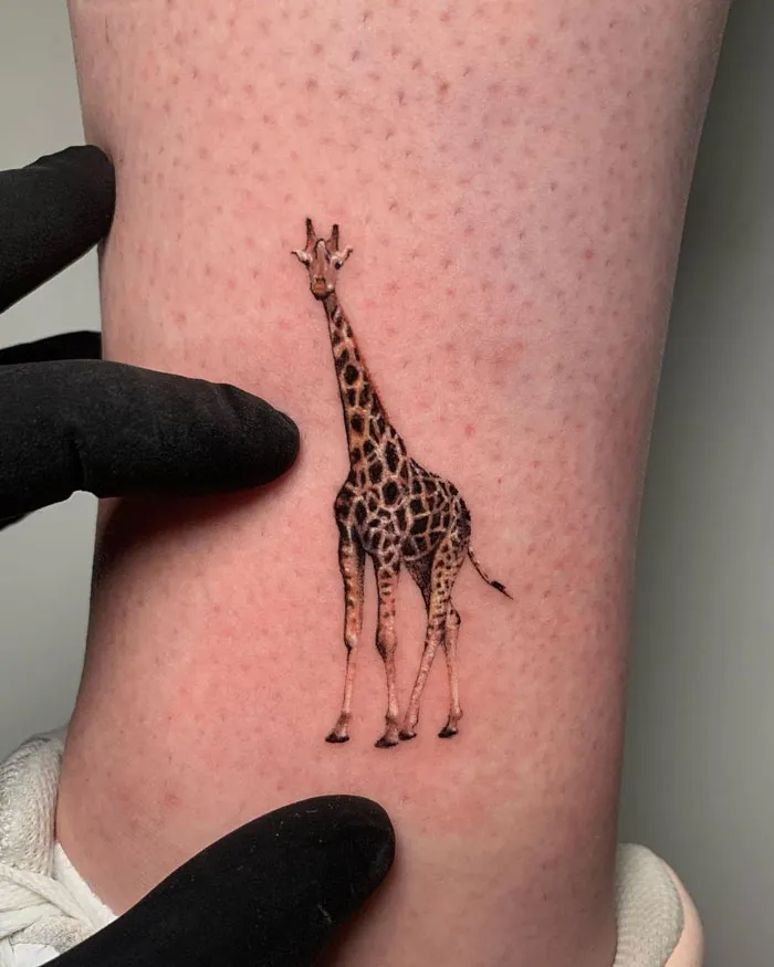Mini Giraffe