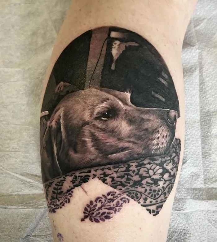 Dog Memorial On Rob Today! This Is Jack Looking At Him On The Bed
