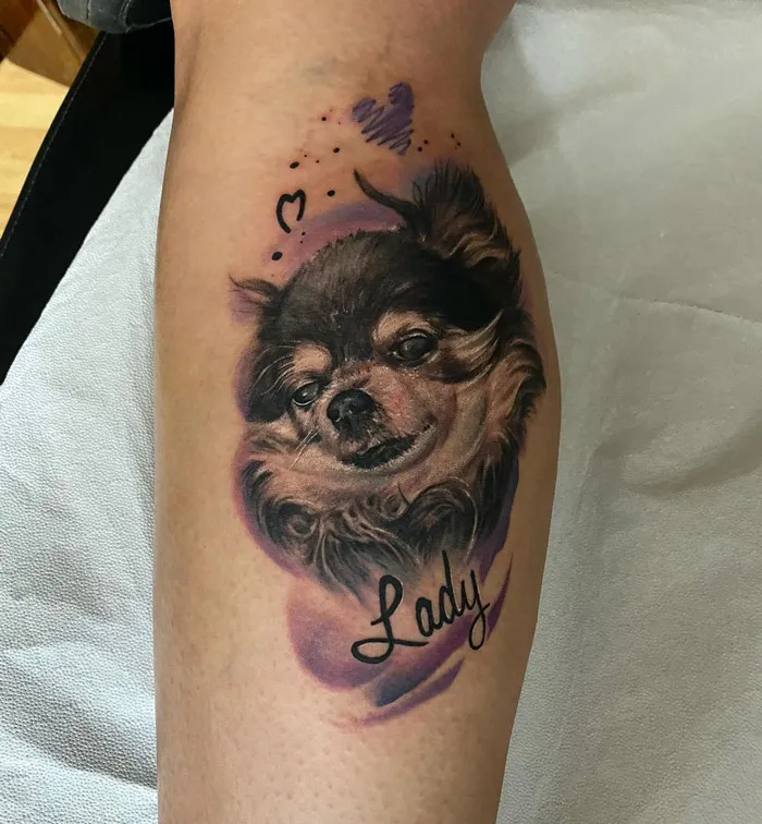 Chihuahua portrait tattoo with the word "Lady" celebrates the animal kingdom on a person's leg.
