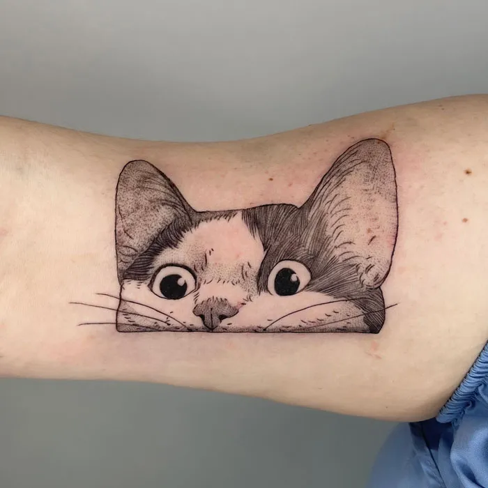 Cat tattoo depicting a curious feline peeking with wide eyes, celebrating the animal kingdom.