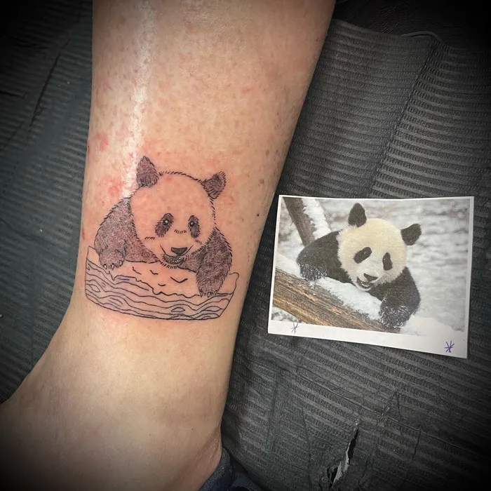 Panda tattoo on forearm with reference photo, showcasing animal kingdom art.