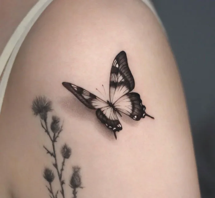 Butterfly