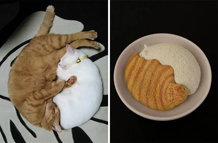 Japanese Artist Turns 40 Iconic Animal Memes Into Sculptures, And It's Hard To Tell Which Are Funnier (New Pics)