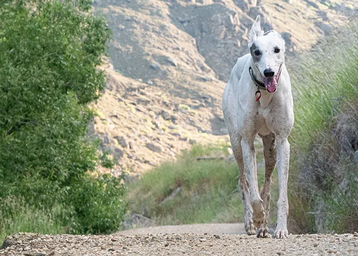 30 Animals That People Are Scared Of Or Don't Like When They Really Shouldn't, As Shared In This Online Thread