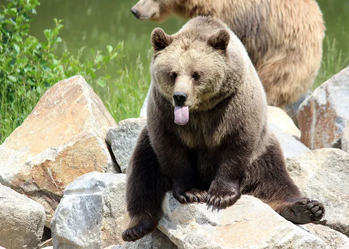 30 Animals That People Are Scared Of Or Don't Like When They Really Shouldn't, As Shared In This Online Thread
