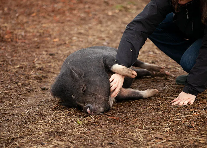 30 Animals That People Are Scared Of Or Don't Like When They Really Shouldn't, As Shared In This Online Thread