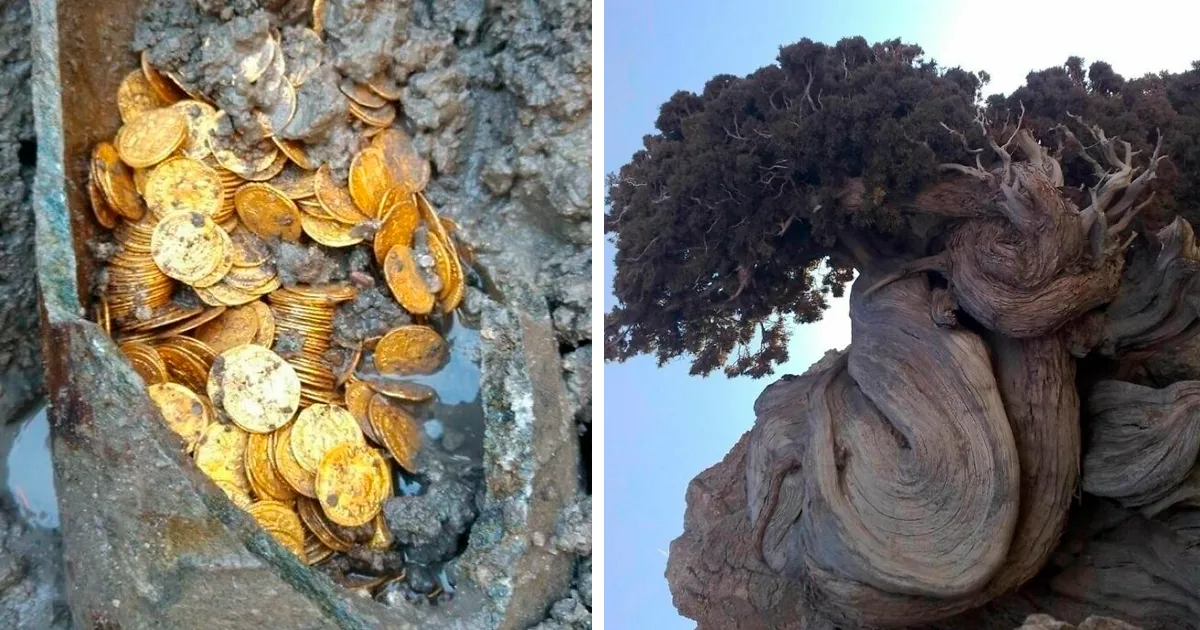 35 Maravillas arqueológicas que quizá no hayas visto nunca, compartidas en esta cuenta de Instagram