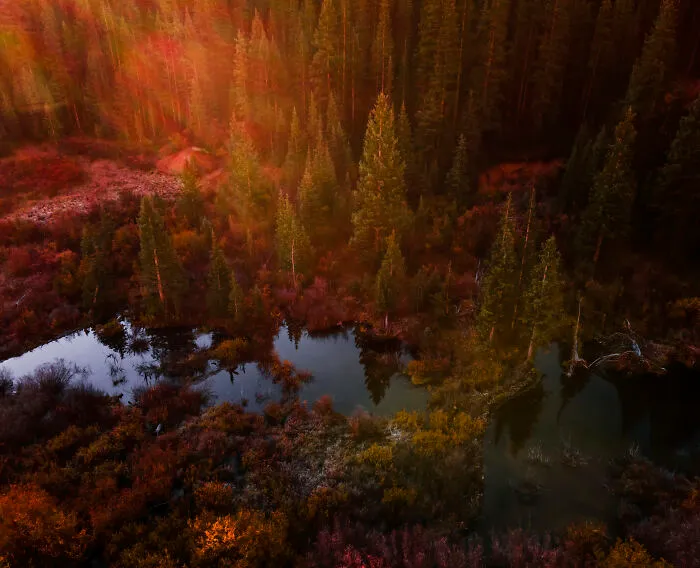 Sunrise On A Beaver Pond