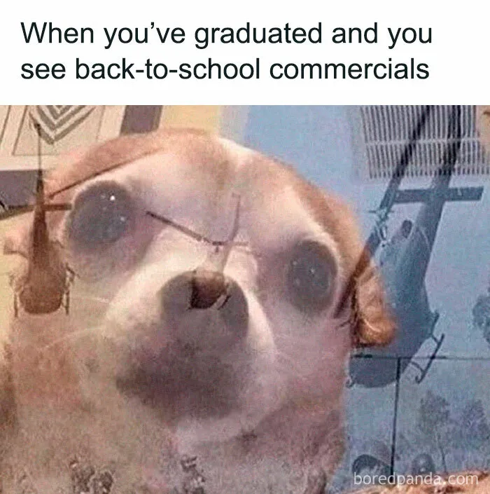 40 Parents Whose Back-To-School Tweets Made The Internet Laugh Out Of Empathy