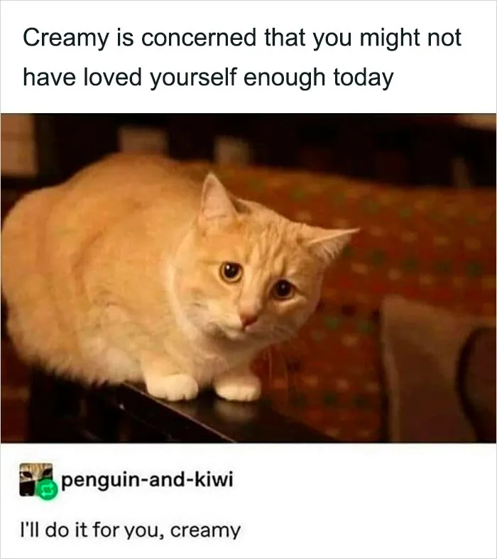 Blessed Cat