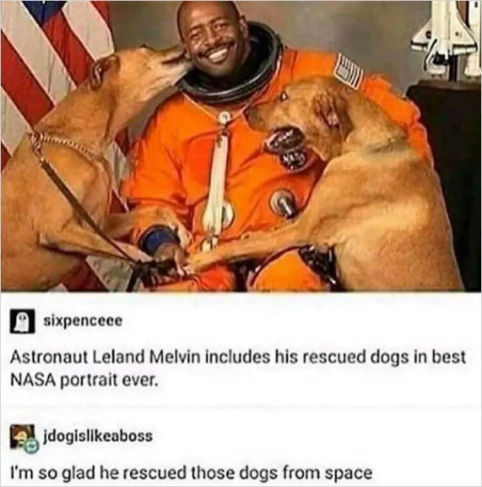Blessed Dogs