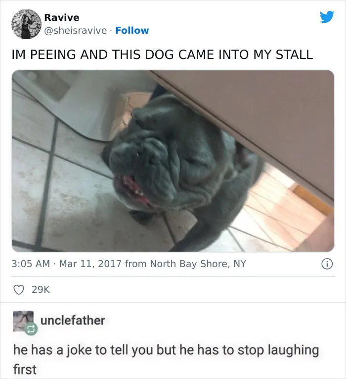 Blessed Little Doggo