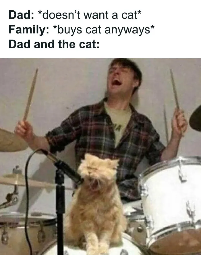 Cat meme showing a man joyfully playing drums with a yawning cat in front, capturing a funny and relatable moment.