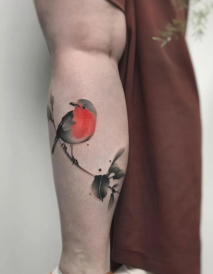 Robin For Amy