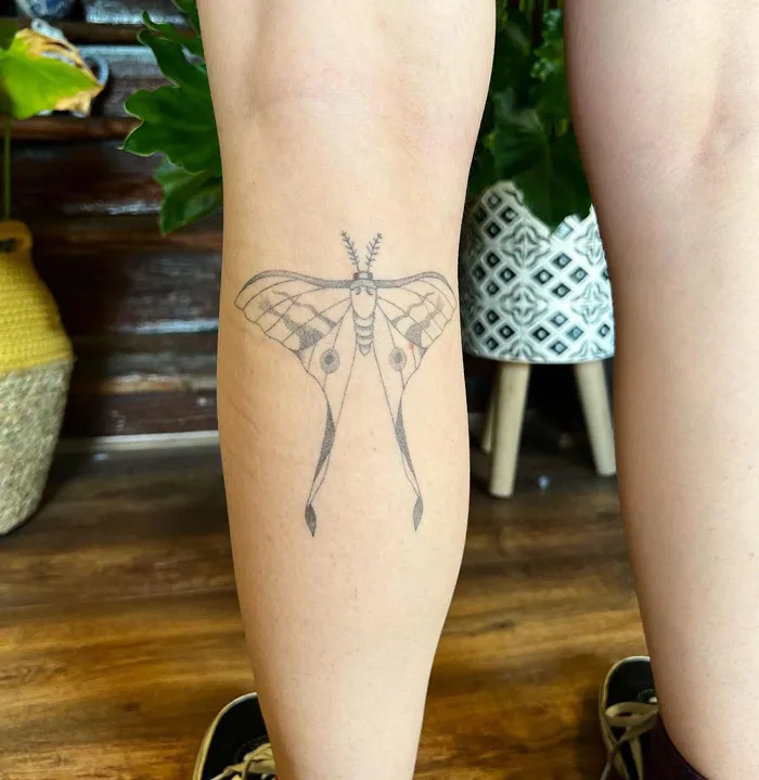 Moth calf tattoo design in a cozy indoor setting with wooden floors and plants.