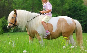 Mom Online Asks If She Was Too Harsh To Her Friend After She Confessed Taking Her 4 Y.O. Daughter To See Horses