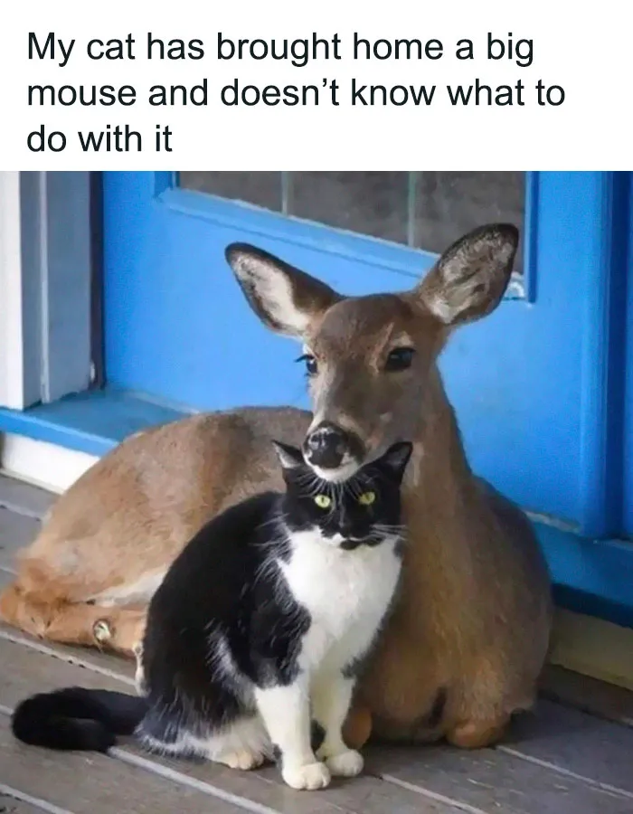 Unexpected Guests Only