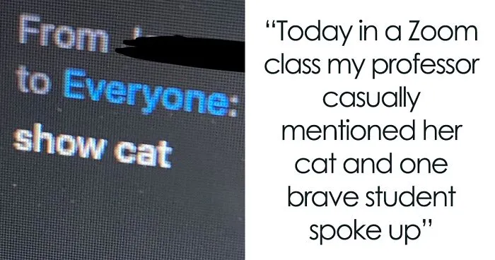 ‘Cats On Catnip’: 50 Funny And Relatable Cat Memes We Loved A Lot