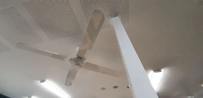 Fan Go Bonk