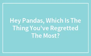 Hey Pandas, Which Is The Thing You've Regretted The Most?