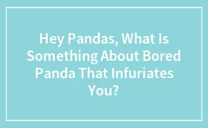 Hey Pandas, What Is Something About Bored Panda That Infuriates You? (Closed)