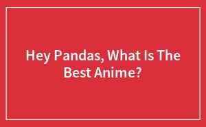 Hey Pandas, What Is The Best Anime? (Closed)
