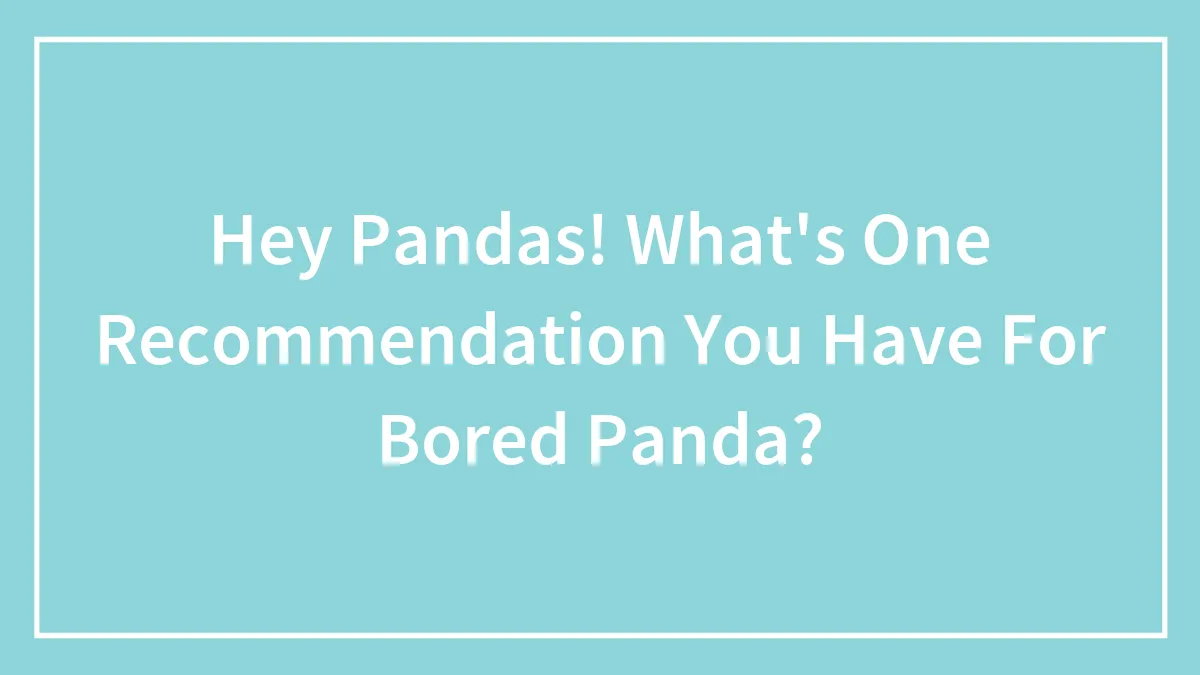 Hey Pandas! What's One Recommendation You Have For Bored Panda?