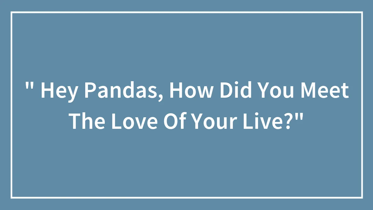 " Hey Pandas, How Did You Meet The Love Of Your Live?"