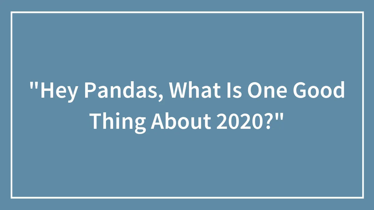 "Hey Pandas, What Is One Good Thing About 2020?"