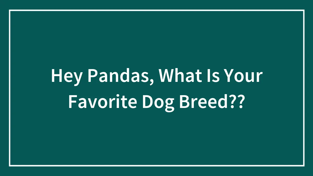 Hey Pandas, What Is Your Favorite Dog Breed??