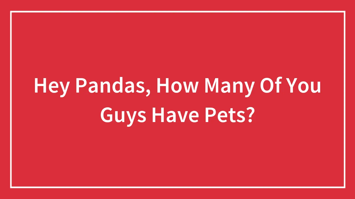 Hey Pandas, How Many Of You Guys Have Pets?
