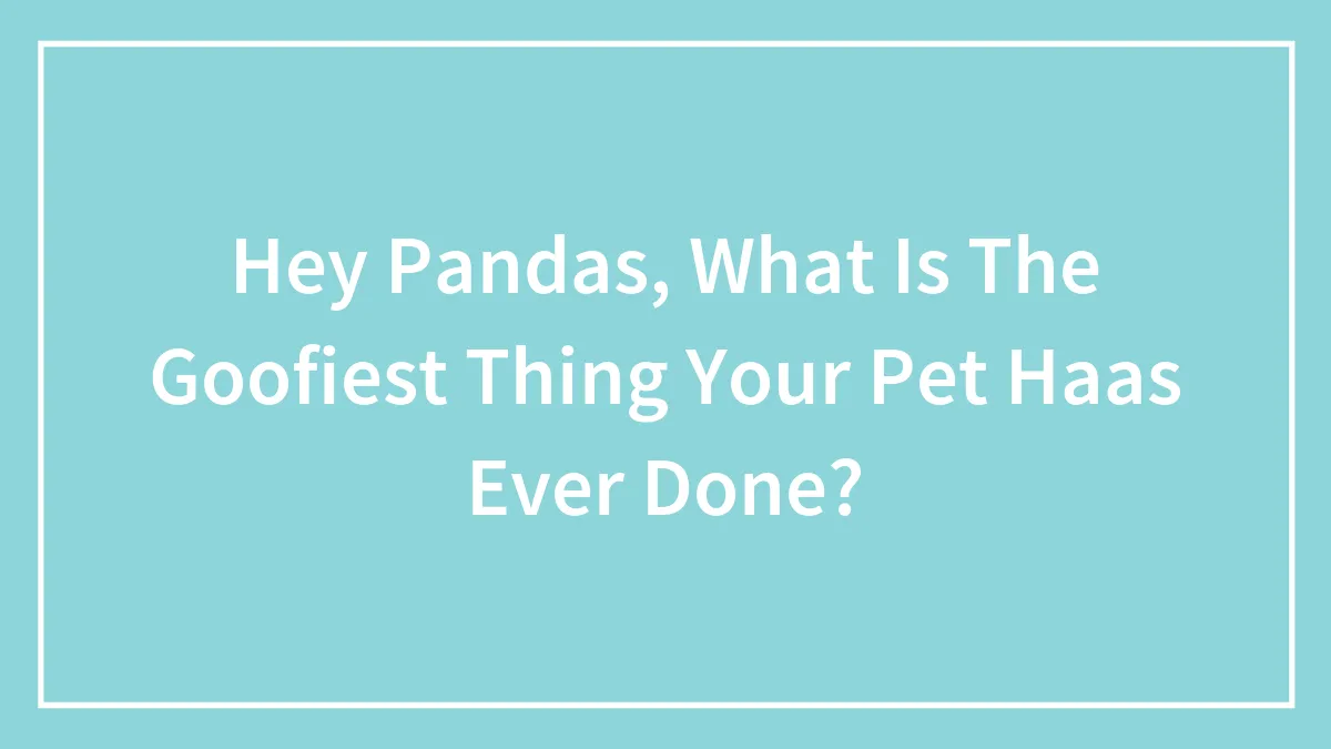 Hey Pandas, What Is The Goofiest Thing Your Pet Haas Ever Done?