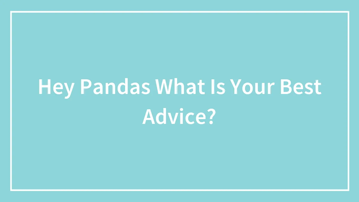 Hey Pandas What Is Your Best Advice?