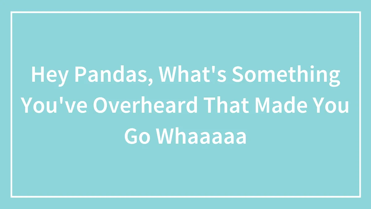 Hey Pandas, What's Something You've Overheard That Made You Go Whaaaaa