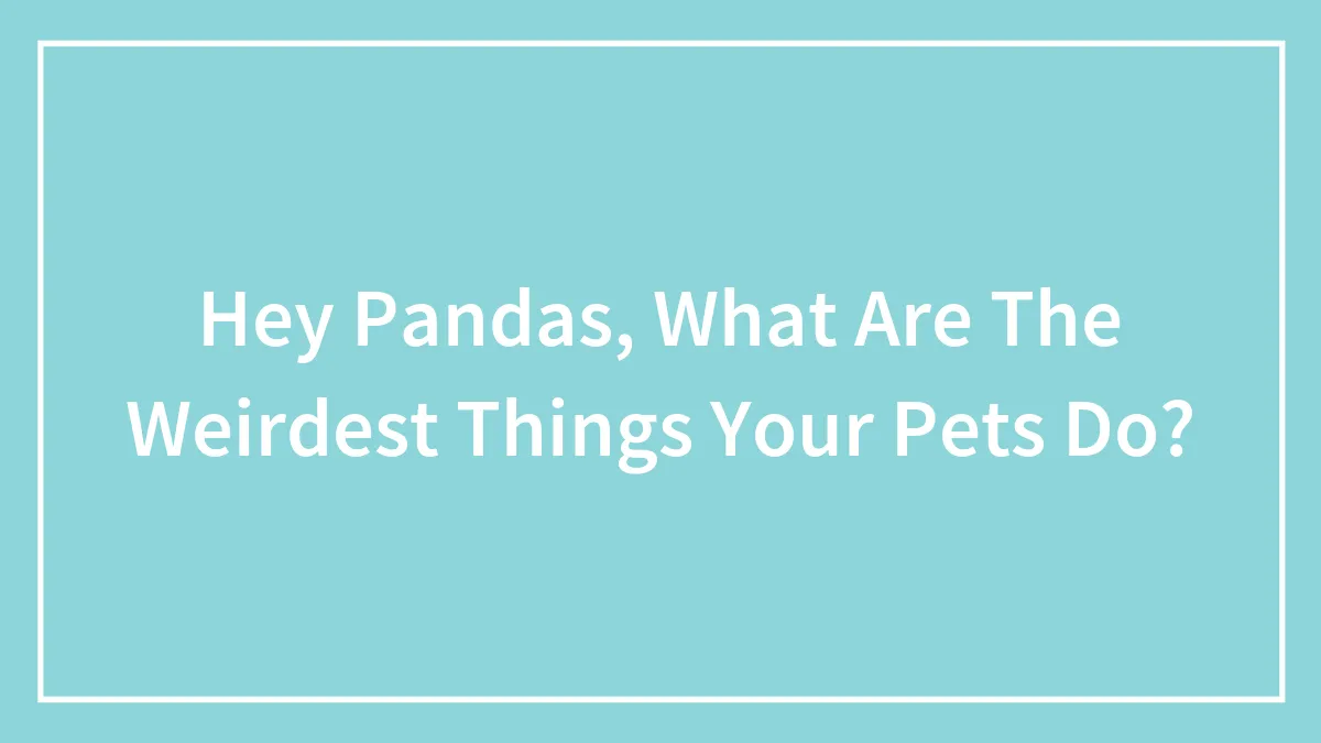 Hey Pandas, What Are The Weirdest Things Your Pets Do? (Closed)