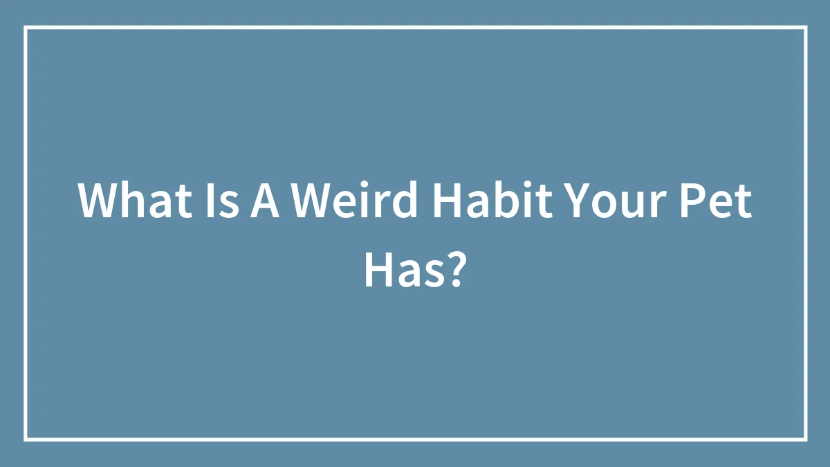 What Is A Weird Habit Your Pet Has?