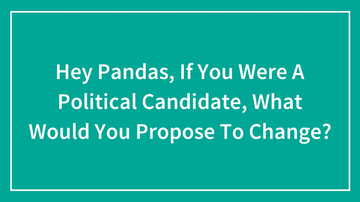 Hey Pandas, If You Were A Political Candidate, What Would You Propose To Change? (Closed)