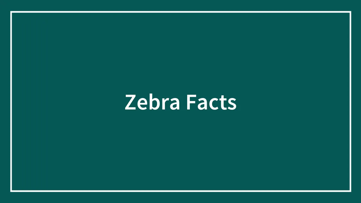 108 Amazing And Somewhat Trivial Facts About Zebras