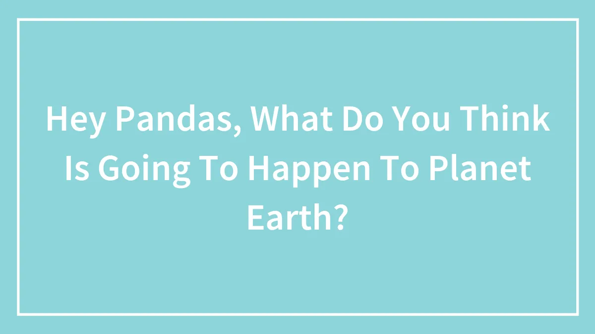 Hey Pandas, What Do You Think Is Going To Happen To Planet Earth?