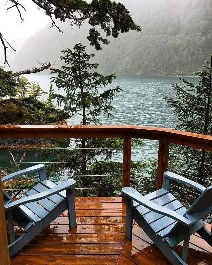 This Is What I Need 