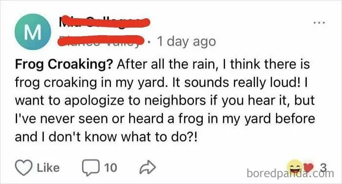 Girl, Why Are You Apologizing For A Frog. Let’s Stop Apologizing For Things!