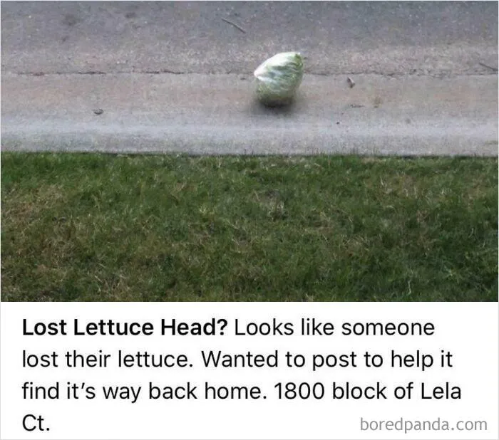 We Will Not Sleep Until She’s Home Safe