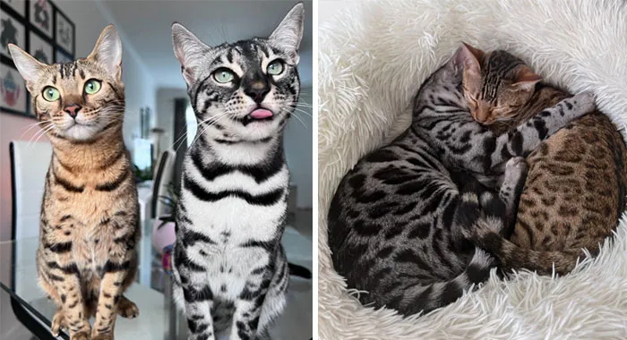 Tala & Mara