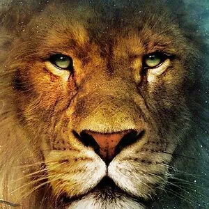 Little Lion