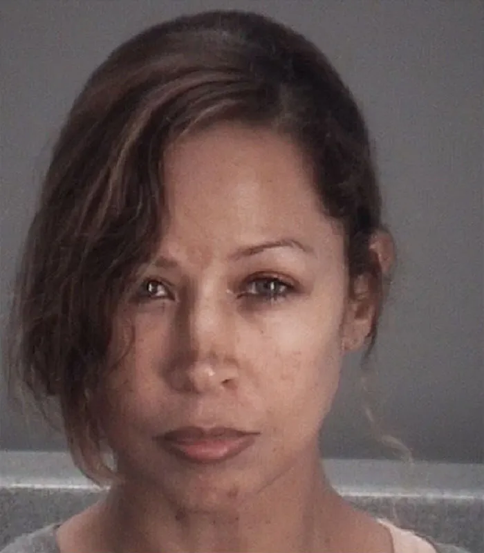 Stacey Dash mugshot 