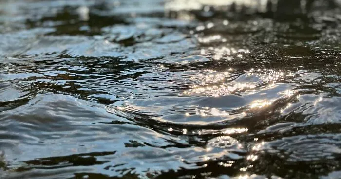 Pictures I’ve Taken Recently (10 Pics)