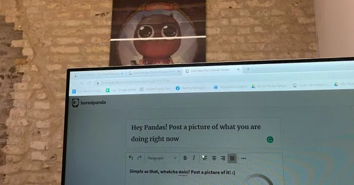 Hey Pandas! Post A Picture Of What You Are Doing Right Now (Closed)